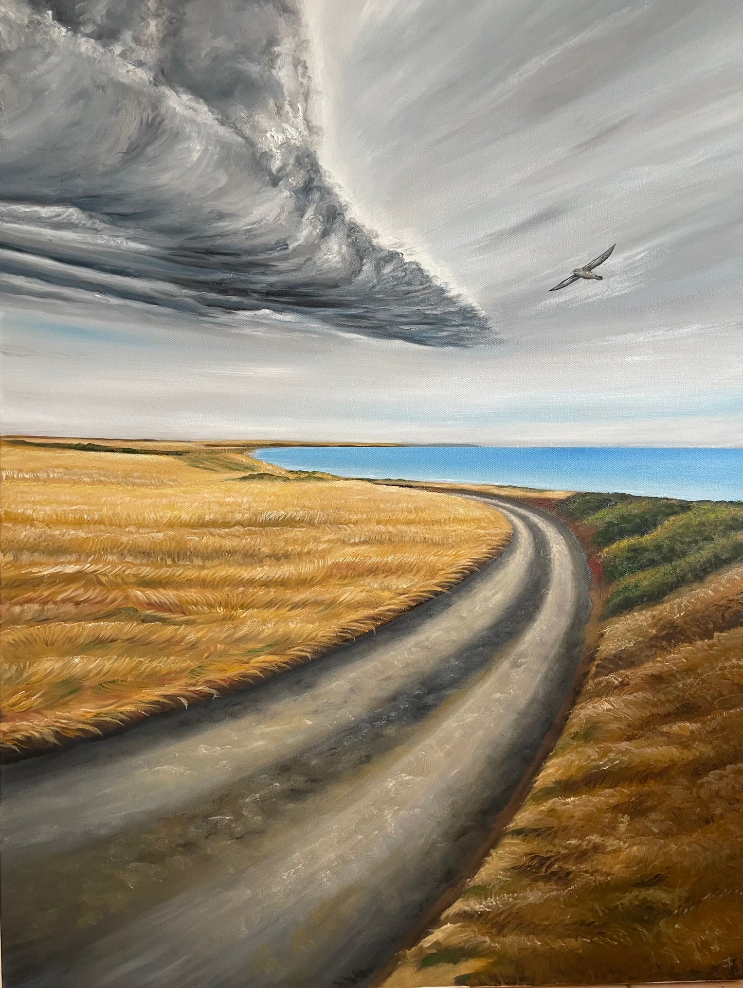 ‘Into The Storm’ Summerlands Phillip Island
