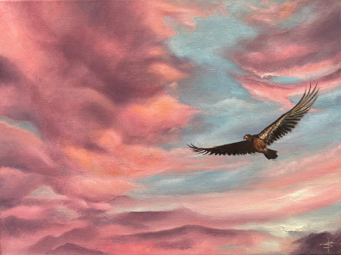 ‘Soaring’ Original Oil painting